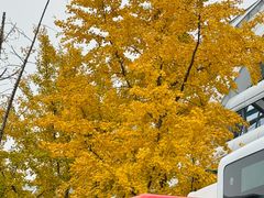 -杭州九堡客运中心