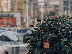 -常熟路(地铁站)