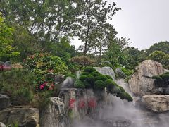 -东莞植物园