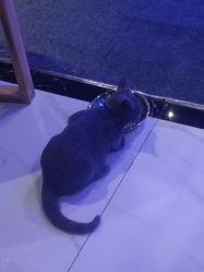 -BBVR团建聚会体验馆·亲子DIY手工