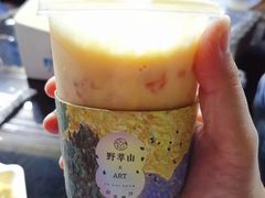 -野萃山·潮汕厚果汁(十亩地店)
