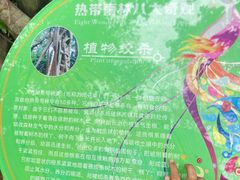 -西双版纳原始森林公园