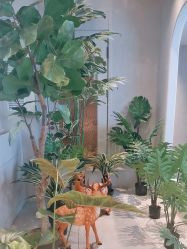 -悦润荟美容抗衰中心