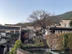 -塔川景区