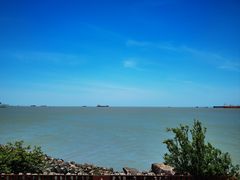 -上海滨江森林公园