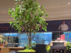 -锦粤宫·精致粤菜(深圳北站店)