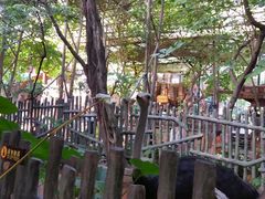 -长鹿旅游休博园