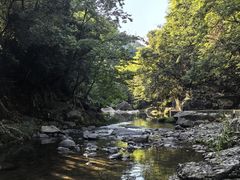 -余姚阳明温泉山庄