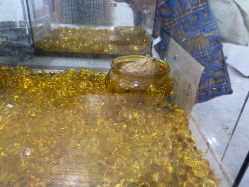-神奇动物撸宠馆·羊驼·小浣熊·异宠(豫园店)