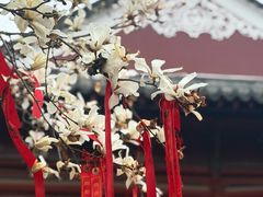 -长春观