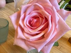 -TIMEZONE8东八时区餐厅&酒吧(798店)