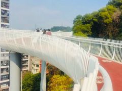 -金鸡山公园