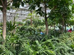 -南宫五洲植物乐园