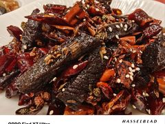 -凯鸽酒楼(大同振兴街店)