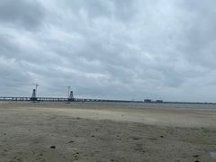 -北海金海湾红树林生态旅游区