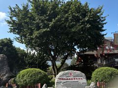 -泸州老窖景区