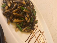鸡枞菌炒乳瓜-马凯餐厅(地安门店)