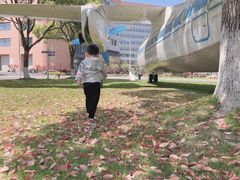 -海富金太阳幼儿园(金杨十街坊东)