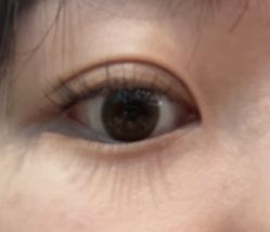 -柚子•猫美睫美甲