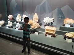 -湖南省地质博物馆