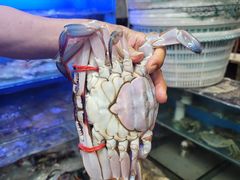 -小铜锣湾海鲜家常菜馆(河西店)