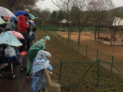 -石家庄市动物园