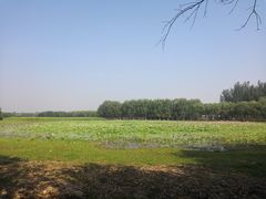 -东郊湿地公园