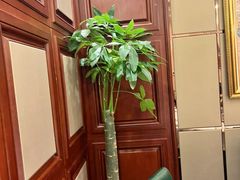 -金时代顺风大酒店(爱琴海购物中心店)