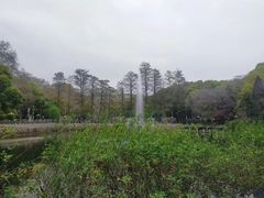 -武汉大学-樱园