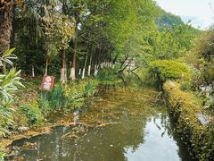 -八卦田遗址公园