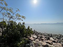 -深圳湾公园(南山区)