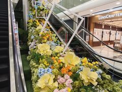 -凯德MALL(望京店)