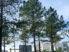 -美兰湖景区