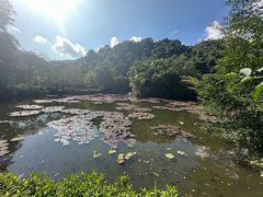 -野象谷景区