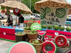 -鹏欣水游城
