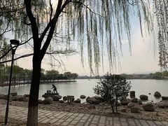 -石家庄市植物园