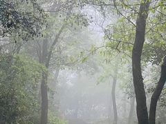 -杭州半山国家森林公园