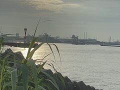 -上海吴淞炮台湾国家湿地公园