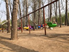 -东方巨龟苑景区