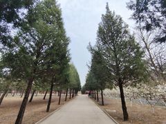 -北京大学(昌平校区)