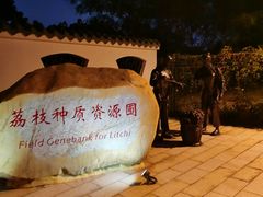 -东莞植物园