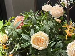 -华夏良子·足道SPA艾灸(翠微店)