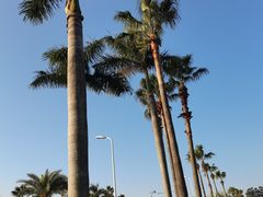 -黄金海岸环岛路