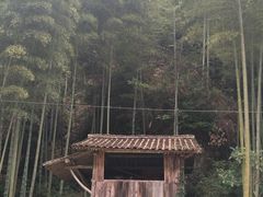 -林坑古村落