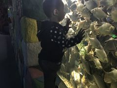 -苏州海洋馆