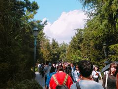 -哈利波特禁忌之旅