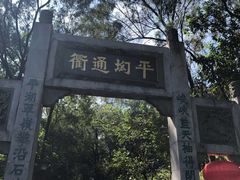 -南国桃园旅游度假区