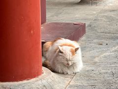 -潭柘寺景区