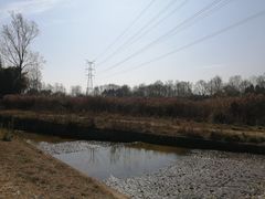 -桤木河湿地公园