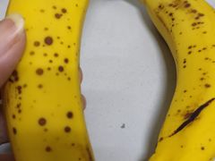 -百果园(奕淳公寓店)